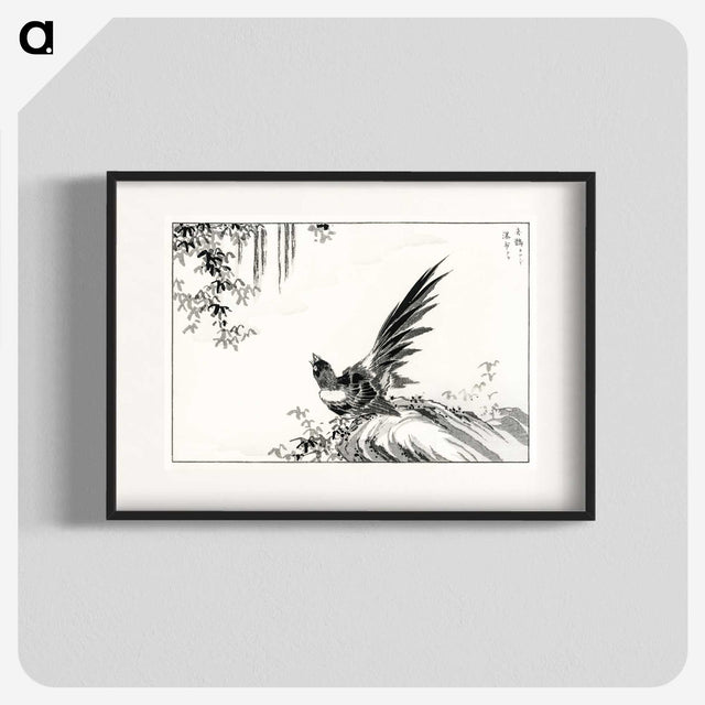 1-80_Pictorial-Monograph-of-Birds_blk