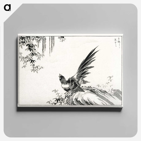 1-80_Pictorial-Monograph-of-Birds_canvas