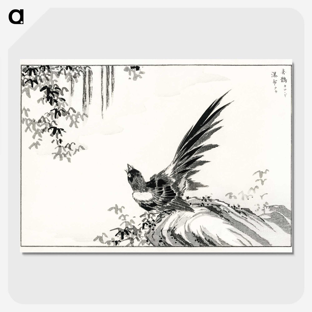 1-80_Pictorial-Monograph-of-Birds_picture-crop