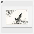 1-80_Pictorial-Monograph-of-Birds_picture