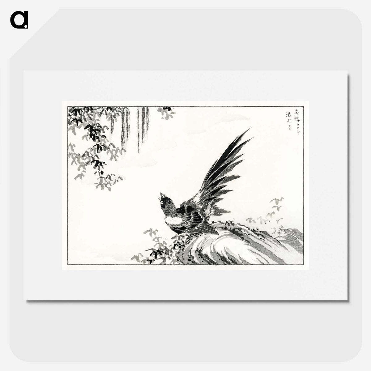 1-80_Pictorial-Monograph-of-Birds_picture