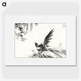 1-80_Pictorial-Monograph-of-Birds_picture