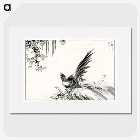 1-80_Pictorial-Monograph-of-Birds_picture