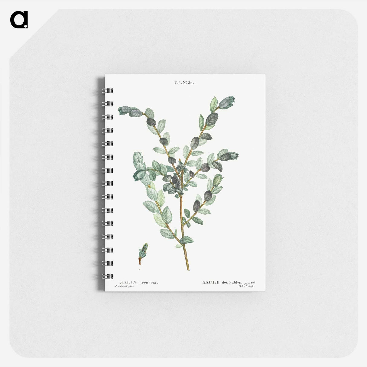 1-80_Pierre-Joseph-Redoute_memo