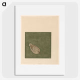 1-80_Reijer-Stolk_picture