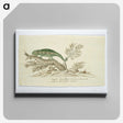 1-80_Robert-Jacob-Gordon_canvas