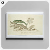 1-80_Robert-Jacob-Gordon_canvas