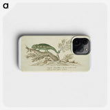 1-80_Robert-Jacob-Gordon_phone