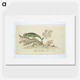 1-80_Robert-Jacob-Gordon_picture