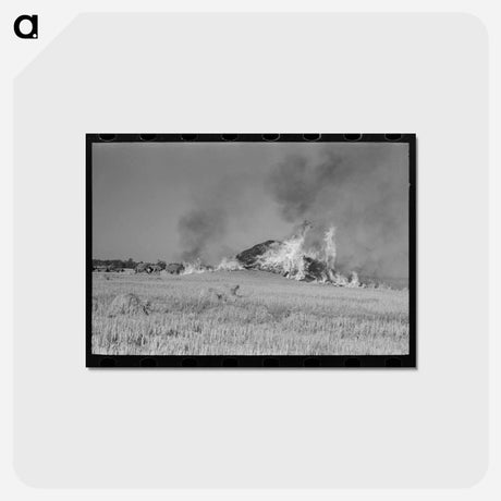 アートポストカード-Burning Straw Stack
 - ラッセル リー Postcard.