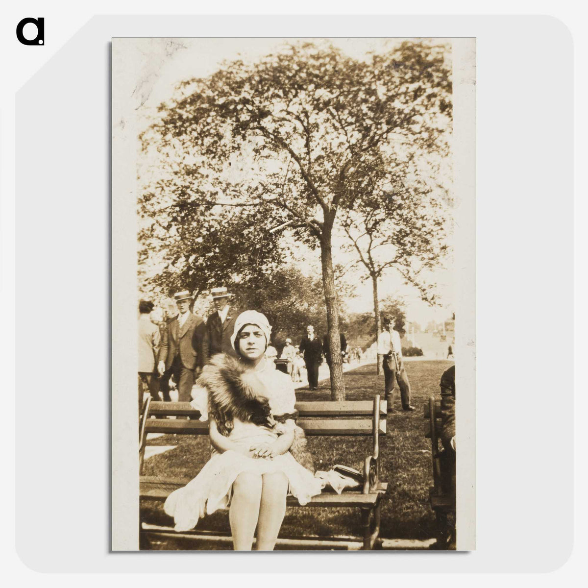 1-80_Saint-Louis-Art-Museum_picture-crop