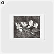 アートポストカード-Cyclamen
 - サミュエル ジェスルン Postcard.