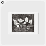 アートポストカード-Cyclamen
 - サミュエル ジェスルン Postcard.