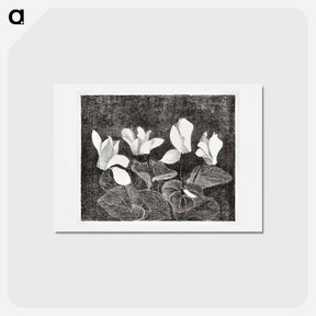 アートポストカード-Cyclamen
 - サミュエル ジェスルン Postcard.
