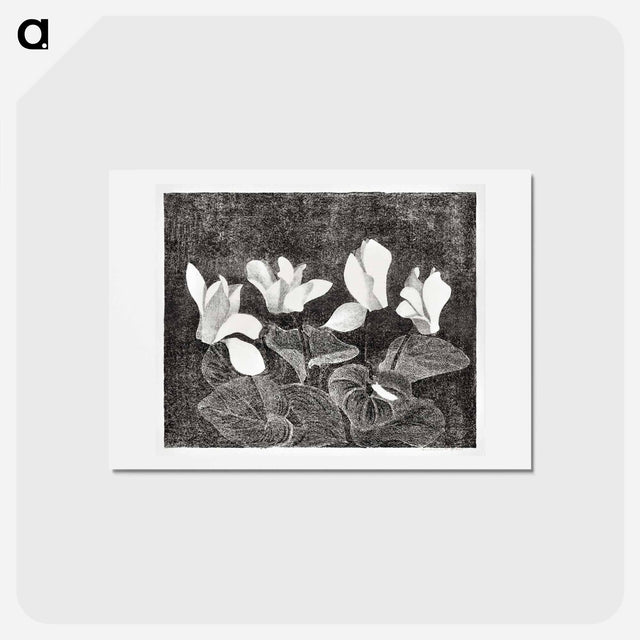 アートポストカード-Cyclamen
 - サミュエル ジェスルン Postcard.
