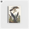 アートメモ帳-Goshawk and Stanley Hawk from Birds of America
 - アメリカの鳥たち Memo.