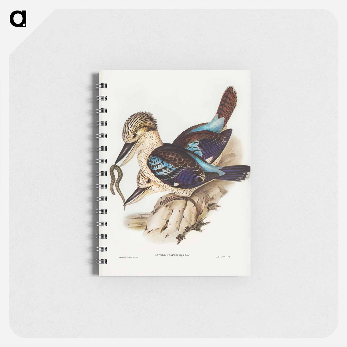 アートメモ帳-Leach's Kingfisher
 - オーストラリアの鳥 Memo.