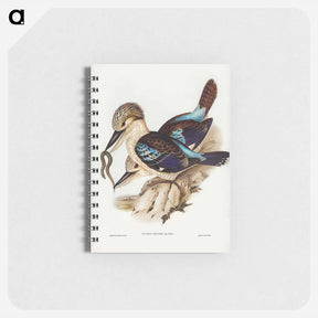 アートメモ帳-Leach's Kingfisher
 - オーストラリアの鳥 Memo.