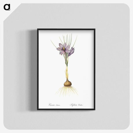 1-80_The-Lilies_blk-crop