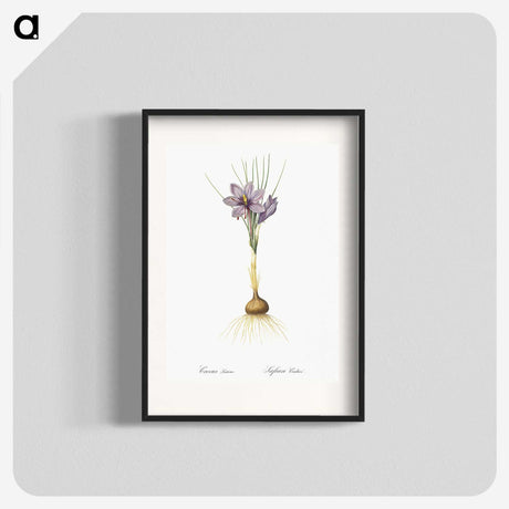 1-80_The-Lilies_blk