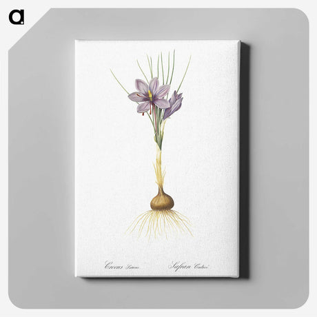1-80_The-Lilies_canvas