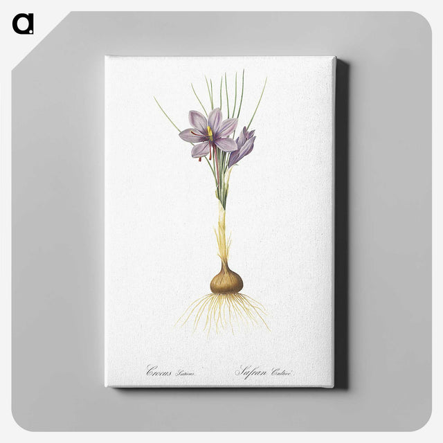 1-80_The-Lilies_canvas
