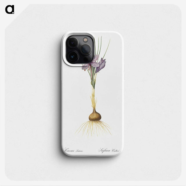 1-80_The-Lilies_phone