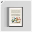 アートポスター-Water Gnat, Martagon Lily, Yellow–Bellied Toad, and European Screw Shell from Mira Calligraphiae Monumenta or The Model Book of Calligraphy
 - 書道のお手本 Poster.