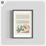 アートポスター-Water Gnat, Martagon Lily, Yellow–Bellied Toad, and European Screw Shell from Mira Calligraphiae Monumenta or The Model Book of Calligraphy
 - 書道のお手本 Poster.