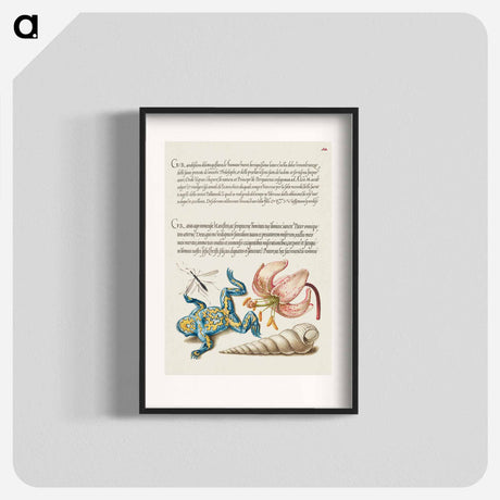 アートポスター-Water Gnat, Martagon Lily, Yellow–Bellied Toad, and European Screw Shell from Mira Calligraphiae Monumenta or The Model Book of Calligraphy
 - 書道のお手本 Poster.