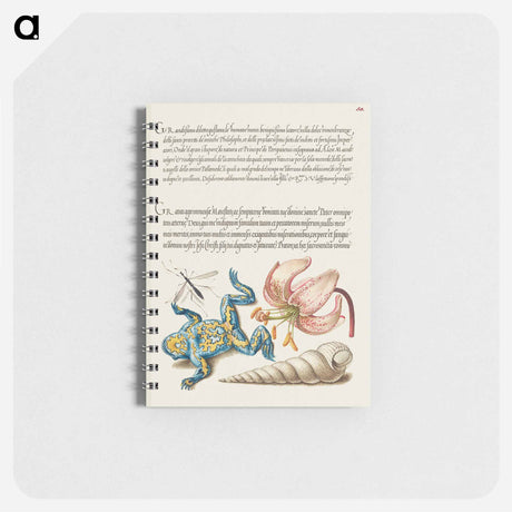 アートメモ帳-Water Gnat, Martagon Lily, Yellow–Bellied Toad, and European Screw Shell from Mira Calligraphiae Monumenta or The Model Book of Calligraphy
 - 書道のお手本 Memo.