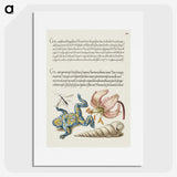 1-80_The-Model-Book-of-Calligraphy_picture