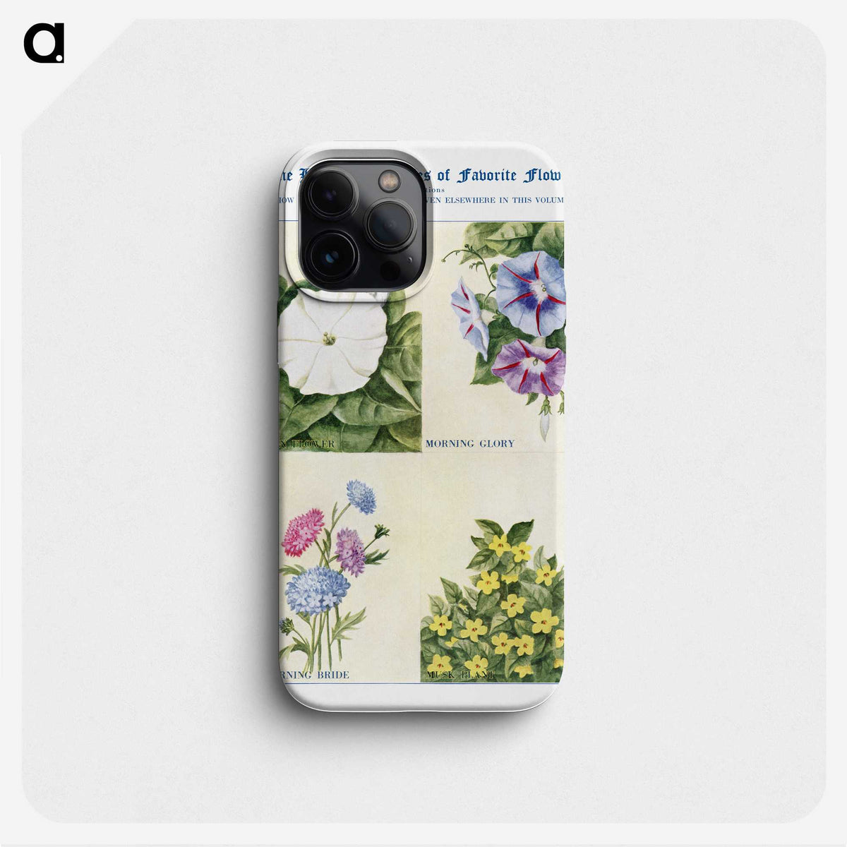 1-80_The-Open-Door-to-Independence_phone