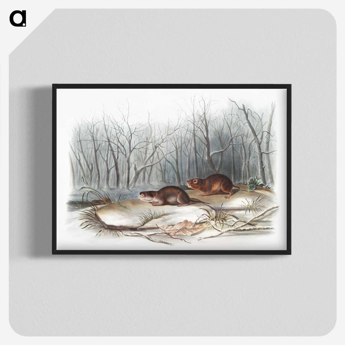 1-80_The-Viviparous-Quadrupeds_blk-crop