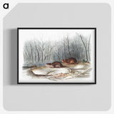 1-80_The-Viviparous-Quadrupeds_blk-crop
