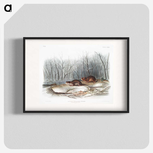 1-80_The-Viviparous-Quadrupeds_blk