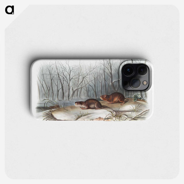 1-80_The-Viviparous-Quadrupeds_phone