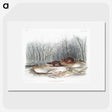 1-80_The-Viviparous-Quadrupeds_picture