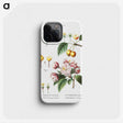 1-80_Treatise-on-Trees-and-Shrubs_phone