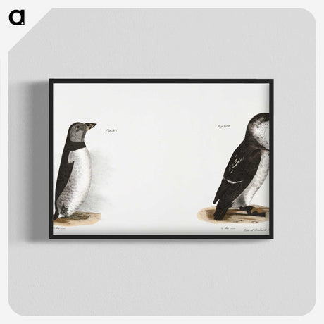 1-80_Zoology-of-New-York_blk-crop