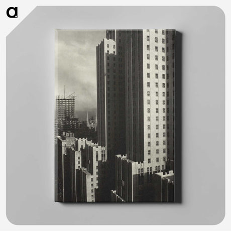 1-81_Alfred-Stieglitz_canvas