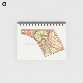 1-81_Alphonse-Mucha_memo