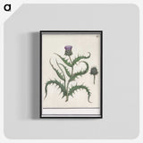 1-81_Anselmus-Boetius-de-Boodt_blk-crop