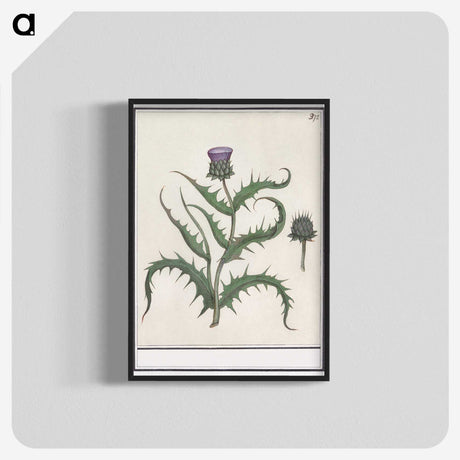 1-81_Anselmus-Boetius-de-Boodt_blk-crop