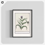 1-81_Anselmus-Boetius-de-Boodt_blk