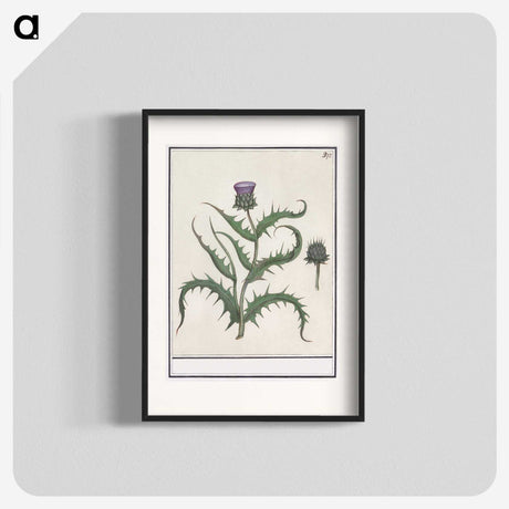 1-81_Anselmus-Boetius-de-Boodt_blk