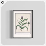 Artichoke - アンセルムス ボエティウス デ ブート Poster.
