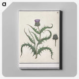 1-81_Anselmus-Boetius-de-Boodt_canvas