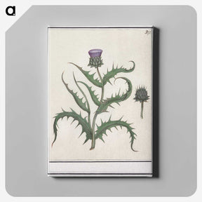 1-81_Anselmus-Boetius-de-Boodt_canvas