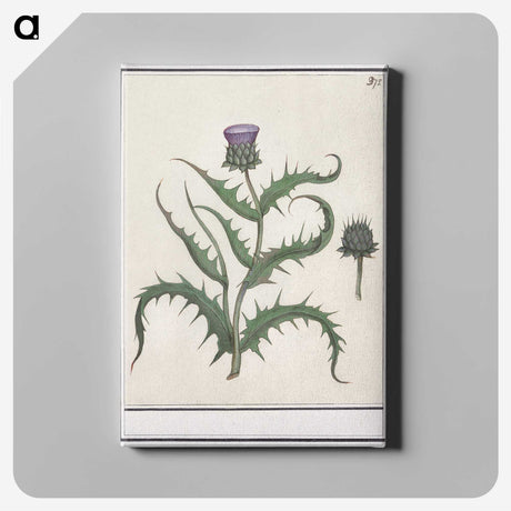 1-81_Anselmus-Boetius-de-Boodt_canvas